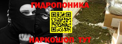индика Пенза