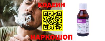 крисы Партизанск