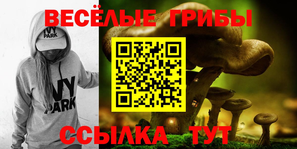 Галлюциногенные грибы мицелий Евпатория