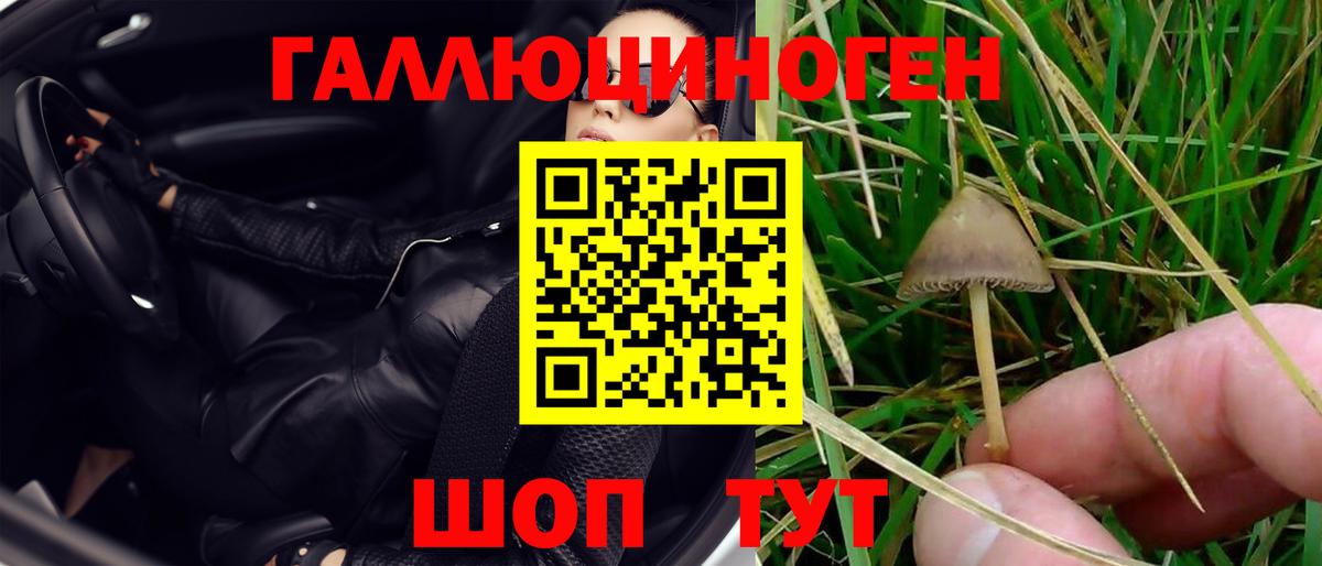 Евпатория  где можно купить наркотик  Вход с VPN  Псилоцибиновые грибы ЛСД 